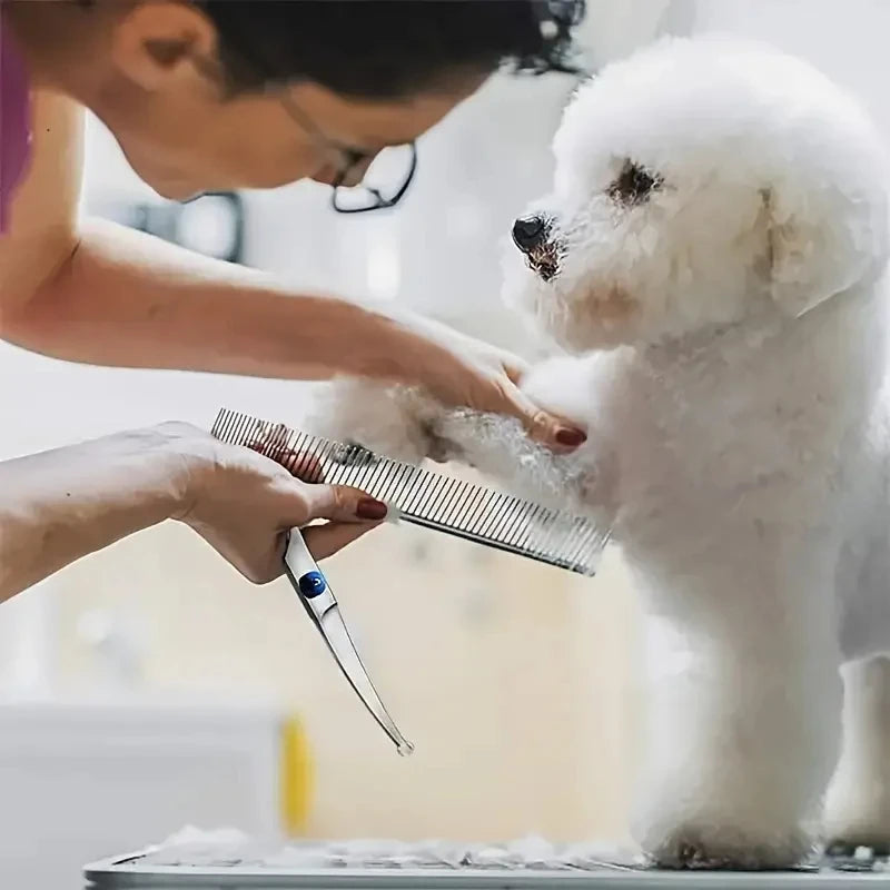 Safty Pet Grooming Scissors round Head Professional Stainless Steel Dog Hair Scissors Pets Shears Animal Cutting Portable Set